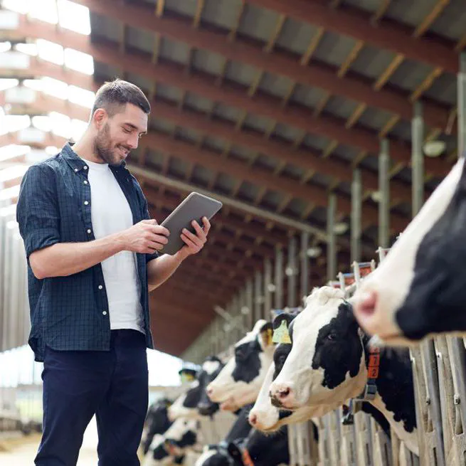 Impact of technologies on dairy farms