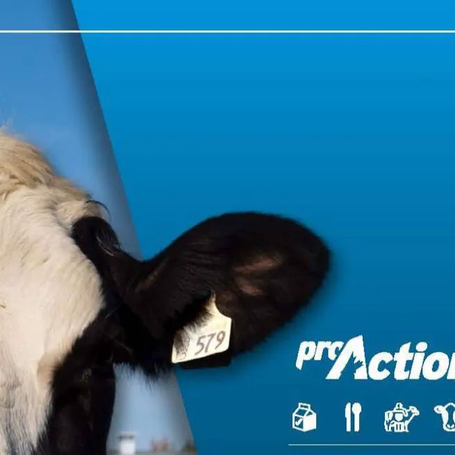 DFC|PLC: Paths to On-Farm Excellence