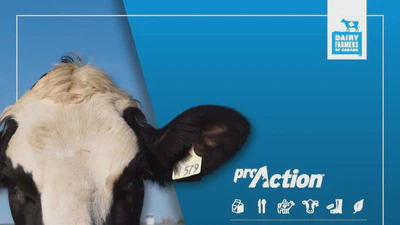 DFC|PLC: Chemins vers l'Excellence à la Ferme (français et anglais) featured image